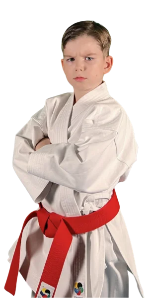 Ian Borzin Karate